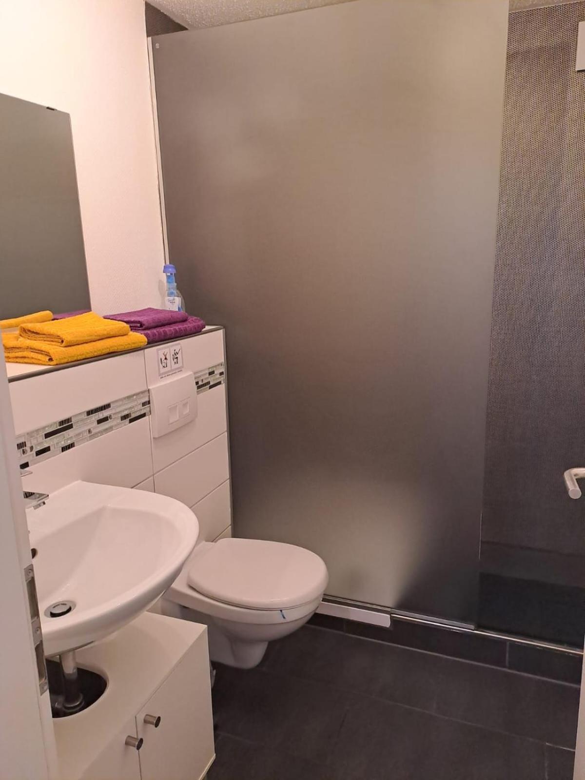 Zentrum Nauerz Apartment Wesseling
